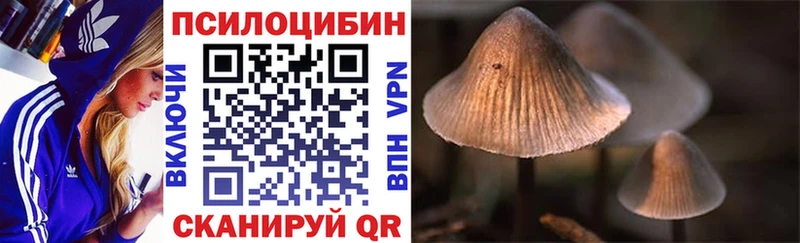 Галлюциногенные грибы Psilocybe  Уссурийск 