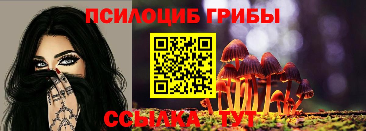 Псилоцибиновые грибы GOLDEN TEACHER  Вход с VPN  Уссурийск 